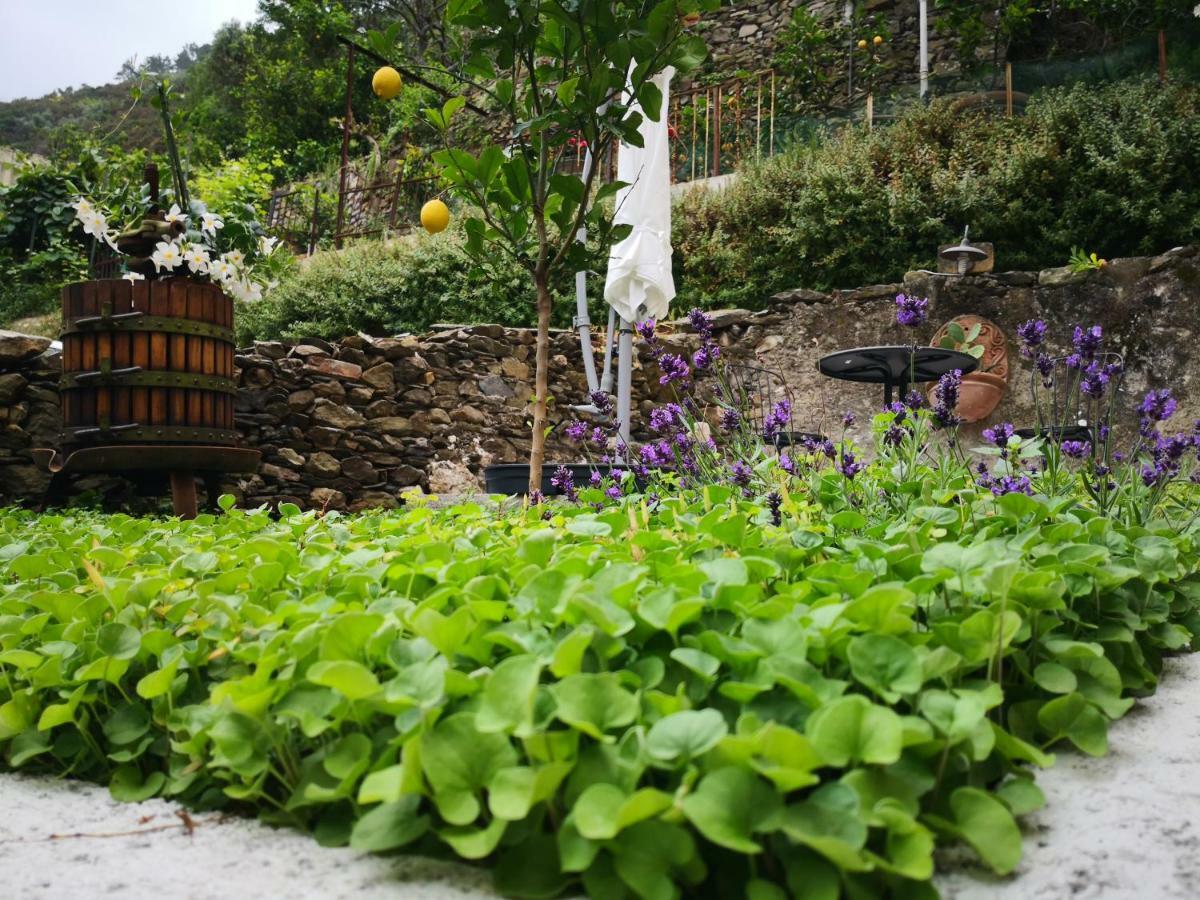 Il Giardino Di Riomaggiore Lejlighed Eksteriør billede